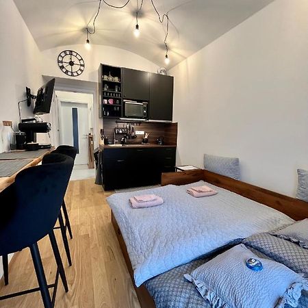 Studio V Prizemi S Kuchyni A Koupelnou Prag Dış mekan fotoğraf