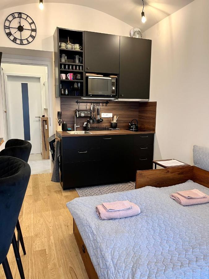 Studio V Prizemi S Kuchyni A Koupelnou Prag Dış mekan fotoğraf